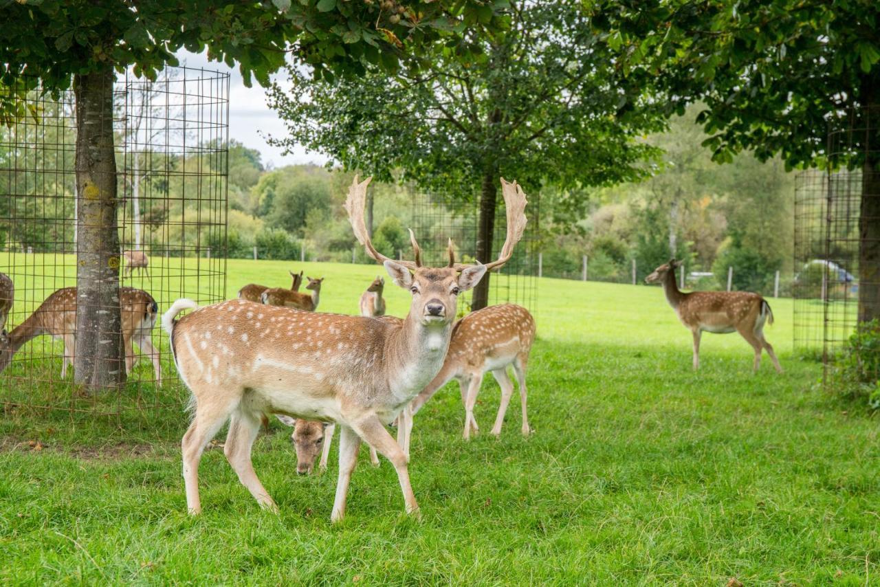 Hotel Hofgut Tiergarten Aulendorf Kültér fotó
